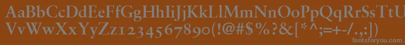 SabonBoldOldstyleFigures Font – Gray Fonts on Brown Background