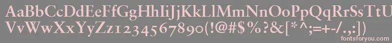 SabonBoldOldstyleFigures Font – Pink Fonts on Gray Background