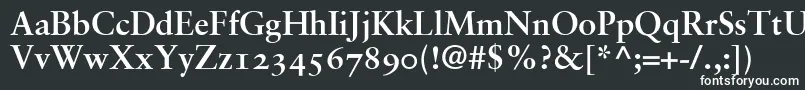 SabonBoldOldstyleFigures Font – White Fonts on Black Background