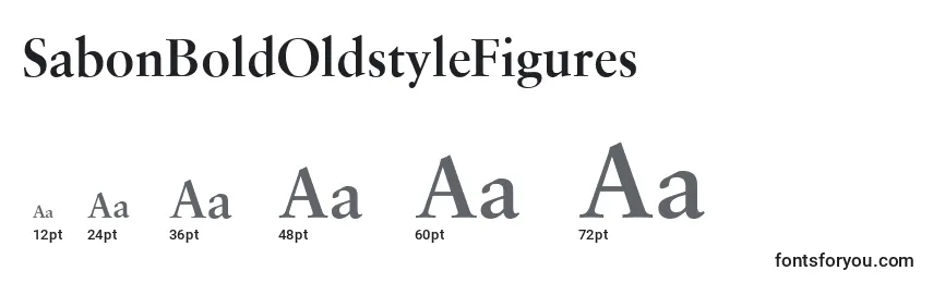 SabonBoldOldstyleFigures Font Sizes