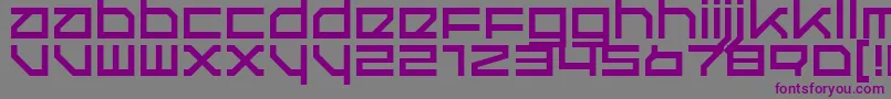 フォントQuerRegular – 紫色のフォント、灰色の背景