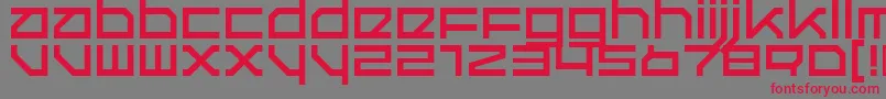 QuerRegular Font – Red Fonts on Gray Background