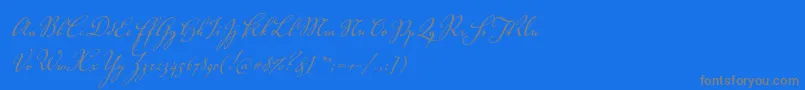 VolutascriptproRegular-Schriftart – Graue Schriften auf blauem Hintergrund