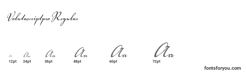 VolutascriptproRegular Font Sizes