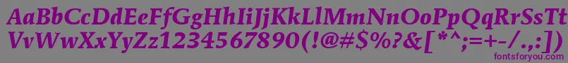 MendozaRomanItcBoldItalic Font – Purple Fonts on Gray Background