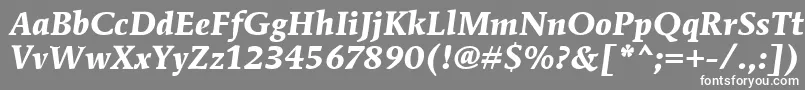 フォントMendozaRomanItcBoldItalic – 灰色の背景に白い文字