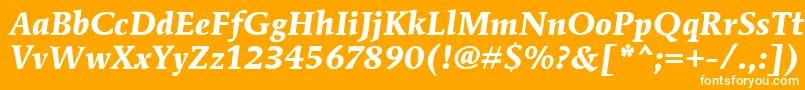 フォントMendozaRomanItcBoldItalic – オレンジの背景に白い文字