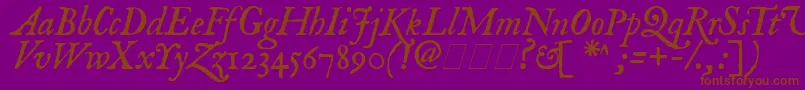 Feenit2 Font – Brown Fonts on Purple Background