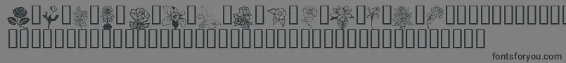 FloralDesign Font – Black Fonts on Gray Background