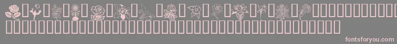 FloralDesign-fontti – vaaleanpunaiset fontit harmaalla taustalla