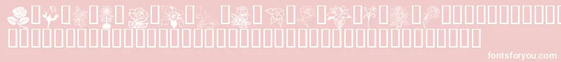 FloralDesign-Schriftart – Weiße Schriften auf rosa Hintergrund