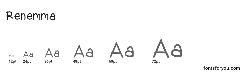 Размеры шрифта Renemma