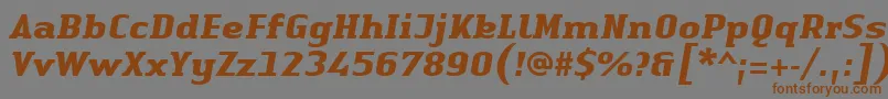 LinotypeAuthenticSerifBolditalic-fontti – ruskeat fontit harmaalla taustalla