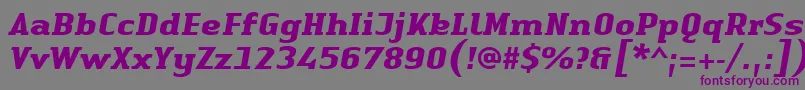 LinotypeAuthenticSerifBolditalic Font – Purple Fonts on Gray Background