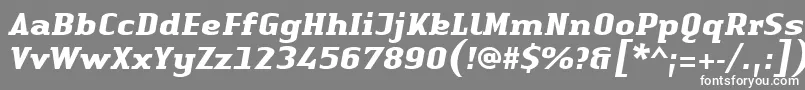 LinotypeAuthenticSerifBolditalic Font – White Fonts on Gray Background