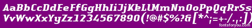 LinotypeAuthenticSerifBolditalic Font – White Fonts on Purple Background