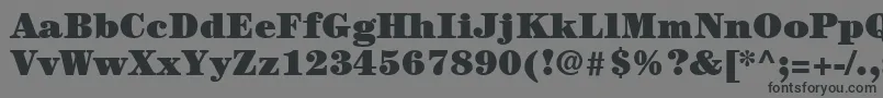 ItcCenturyLtUltra Font – Black Fonts on Gray Background