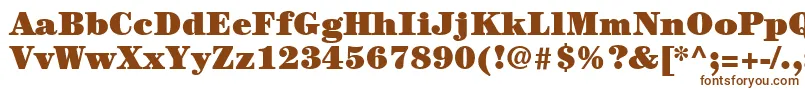 ItcCenturyLtUltra Font – Brown Fonts on White Background