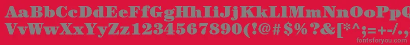 ItcCenturyLtUltra Font – Gray Fonts on Red Background