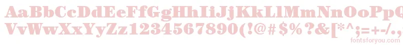 ItcCenturyLtUltra Font – Pink Fonts on White Background