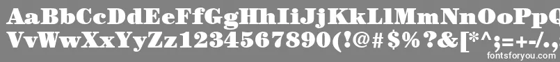 ItcCenturyLtUltra Font – White Fonts on Gray Background