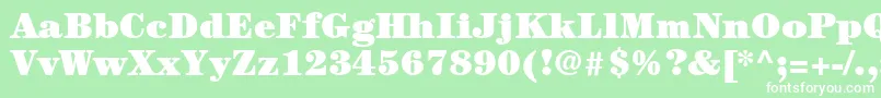 ItcCenturyLtUltra Font – White Fonts on Green Background