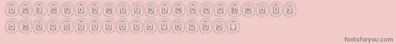 LmsLionAround-Schriftart – Graue Schriften auf rosa Hintergrund
