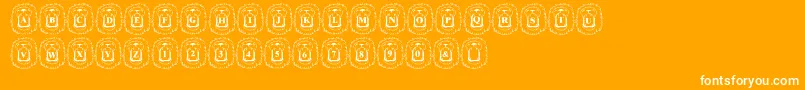 LmsLionAround-Schriftart – Weiße Schriften auf orangefarbenem Hintergrund