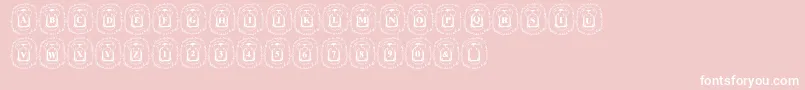 LmsLionAround Font – White Fonts on Pink Background