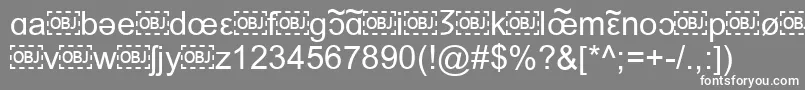 フォントIpaFont – 灰色の背景に白い文字