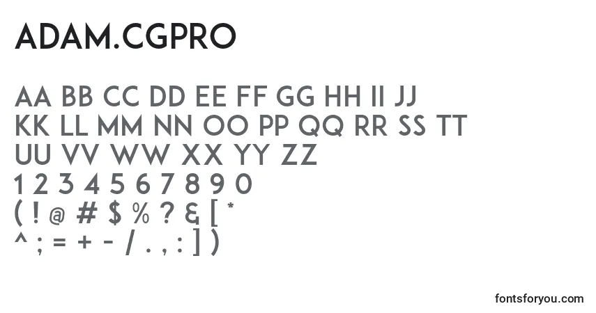 Czcionka Adam.CgPro – alfabet, cyfry, specjalne znaki