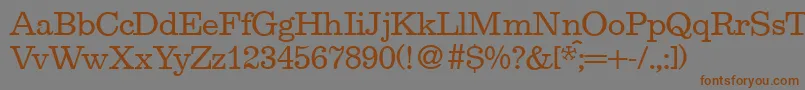 EgoistRegularDb Font – Brown Fonts on Gray Background