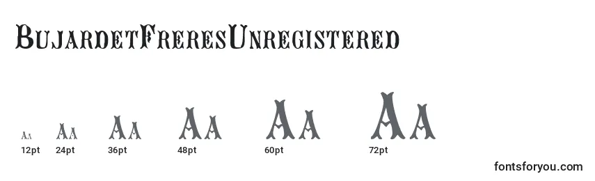 Размеры шрифта BujardetFreresUnregistered