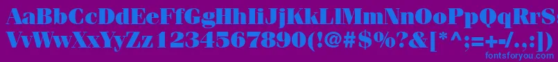 CompendiumBlackSsiBlack Font – Blue Fonts on Purple Background