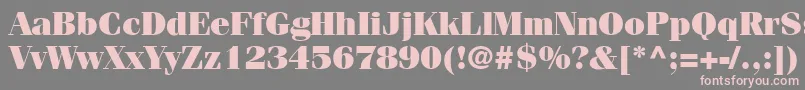 CompendiumBlackSsiBlack Font – Pink Fonts on Gray Background