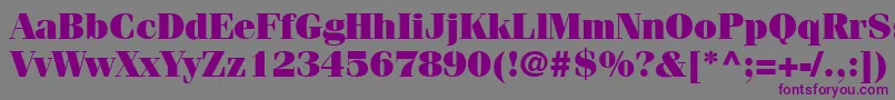 Czcionka CompendiumBlackSsiBlack – fioletowe czcionki na szarym tle