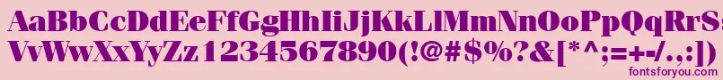 CompendiumBlackSsiBlack Font – Purple Fonts on Pink Background