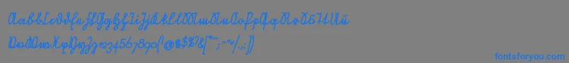 NeueRudelskopfVerbundenSchraegFett Font – Blue Fonts on Gray Background