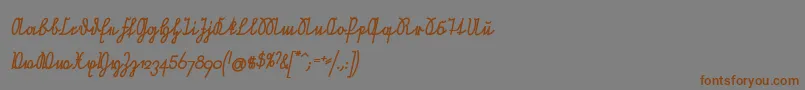 NeueRudelskopfVerbundenSchraegFett Font – Brown Fonts on Gray Background