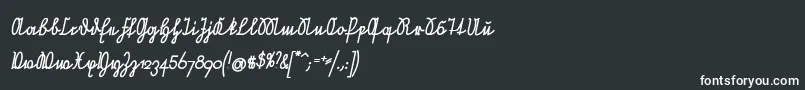 NeueRudelskopfVerbundenSchraegFett Font – White Fonts on Black Background