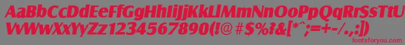 SalzburgserialHeavyItalic Font – Red Fonts on Gray Background