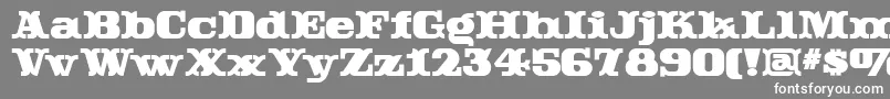 Rutintutinnf Font – White Fonts on Gray Background