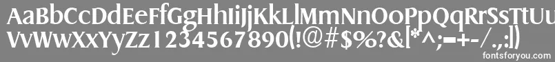Шрифт GriffonBold – белые шрифты на сером фоне