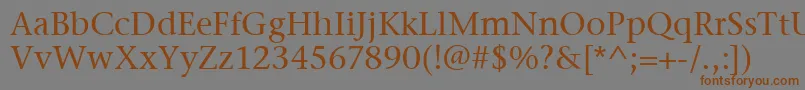 フォントStoneSerifItcMedium – 茶色の文字が灰色の背景にあります。