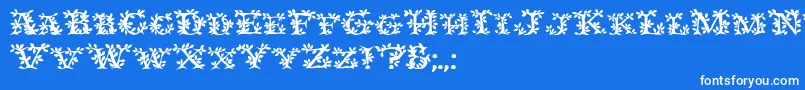 フォントIvydisplaycapsBold – 青い背景に白い文字