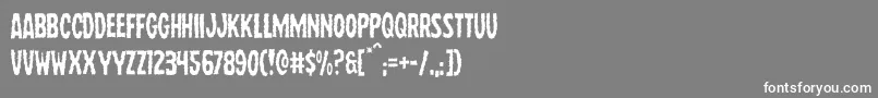 Wolfbrotherslight Font – White Fonts on Gray Background
