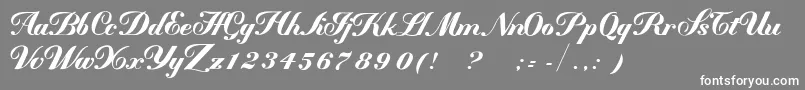 MademoiselleВ·kВ· Font – White Fonts on Gray Background