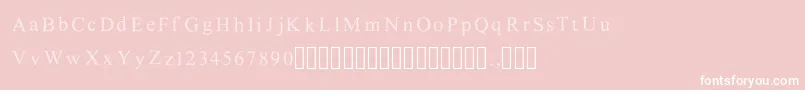 LimitedgridsRegular Font – White Fonts on Pink Background