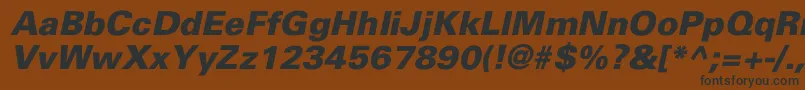 UniversBlackItalic Font – Black Fonts on Brown Background