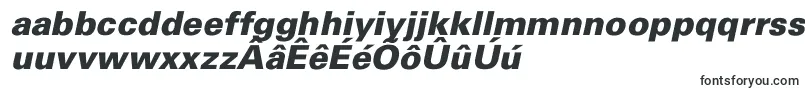 UniversBlackItalic Font – Frisian Fonts
